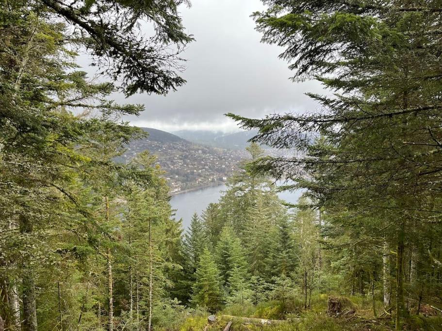 Chalet 3 Etoiles A Gerardmer. ภายนอก รูปภาพ