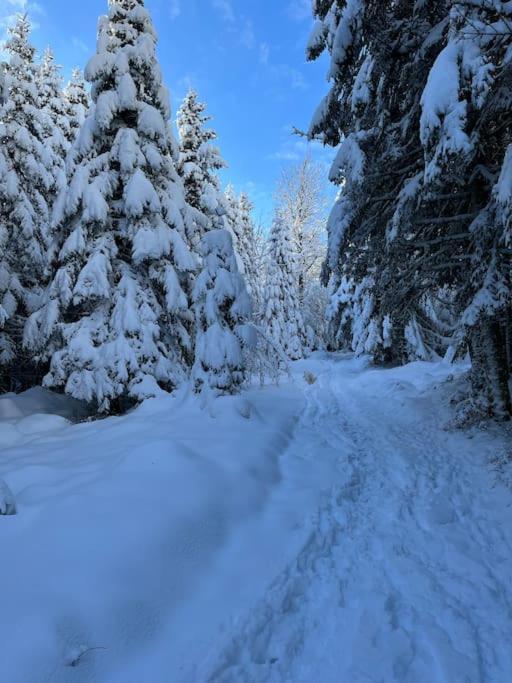Chalet 3 Etoiles A Gerardmer. ภายนอก รูปภาพ