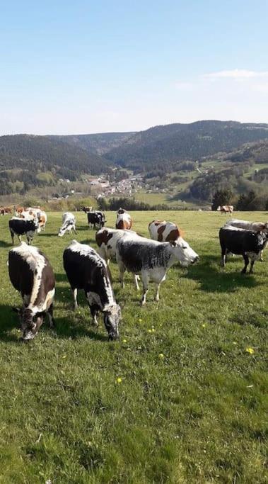 Chalet 3 Etoiles A Gerardmer. ภายนอก รูปภาพ