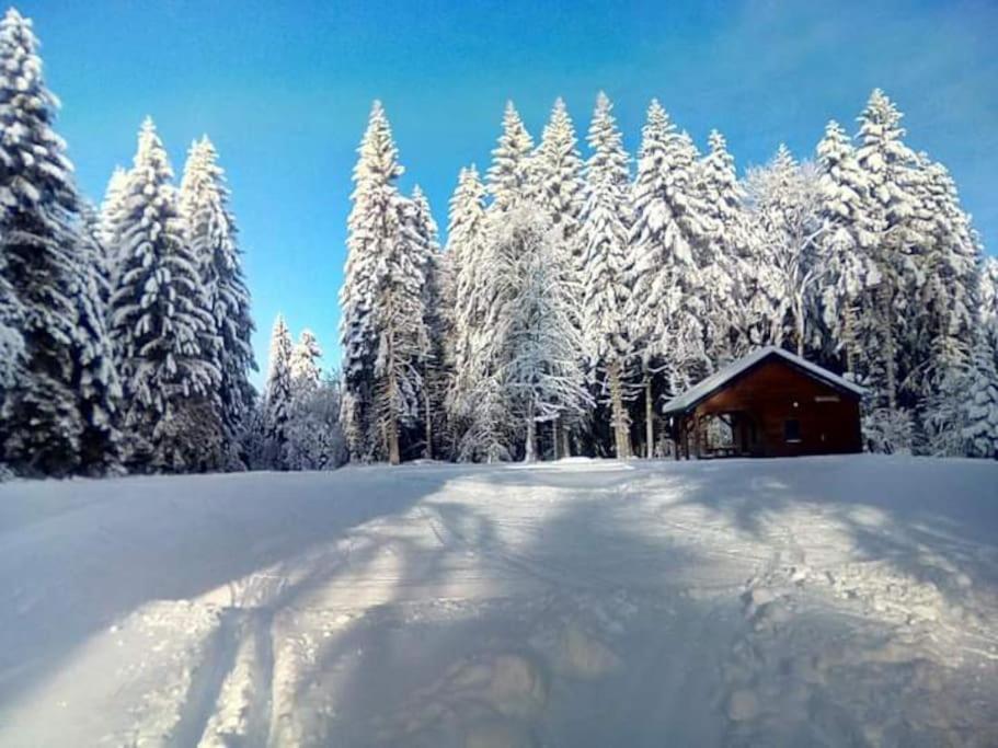 Chalet 3 Etoiles A Gerardmer. ภายนอก รูปภาพ