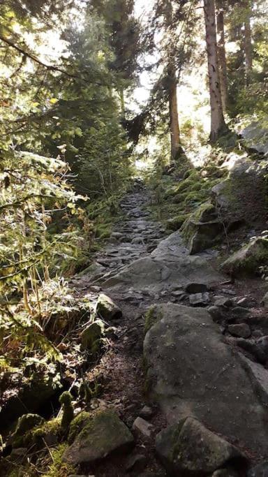 Chalet 3 Etoiles A Gerardmer. ภายนอก รูปภาพ