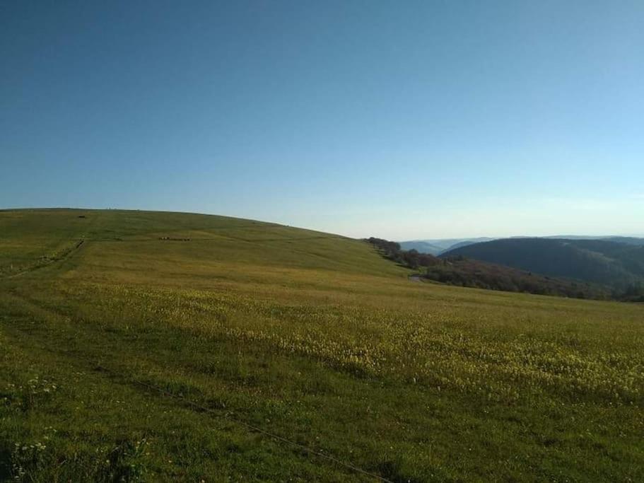 Chalet 3 Etoiles A Gerardmer. ภายนอก รูปภาพ