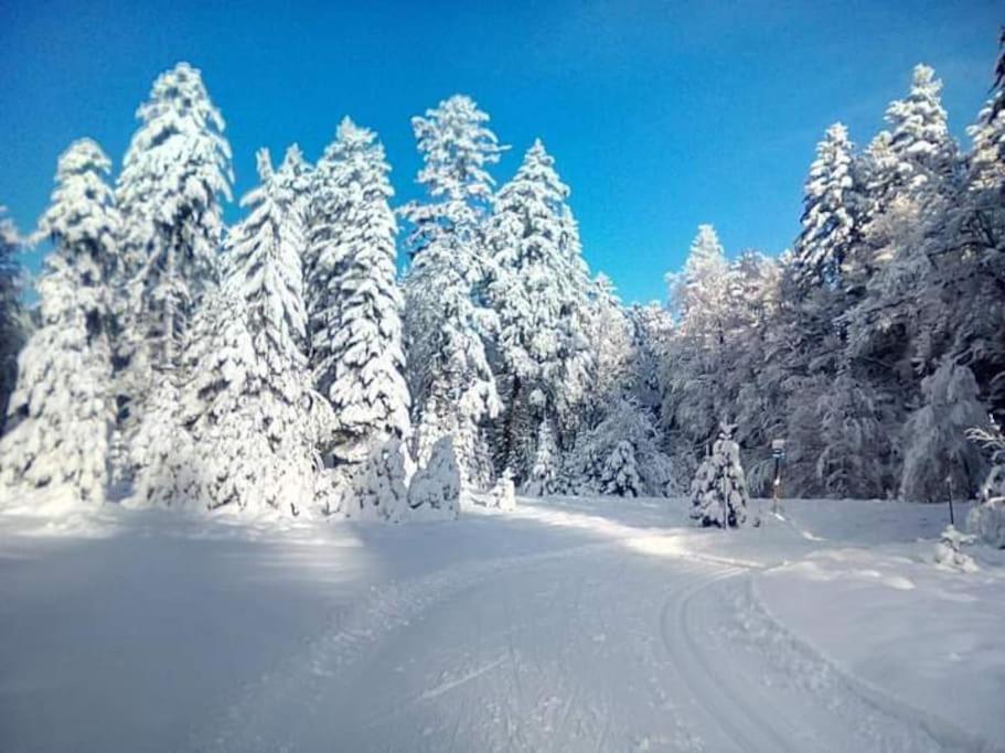 Chalet 3 Etoiles A Gerardmer. ภายนอก รูปภาพ