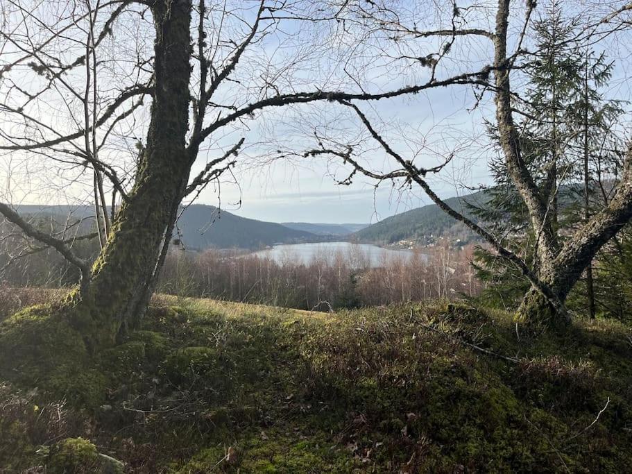 Chalet 3 Etoiles A Gerardmer. ภายนอก รูปภาพ