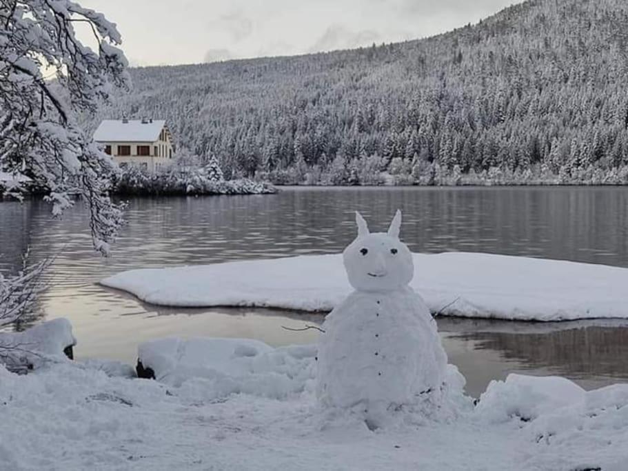 Chalet 3 Etoiles A Gerardmer. ภายนอก รูปภาพ