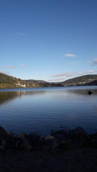 Chalet 3 Etoiles A Gerardmer. ภายนอก รูปภาพ