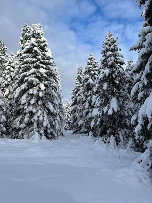 Chalet 3 Etoiles A Gerardmer. ภายนอก รูปภาพ