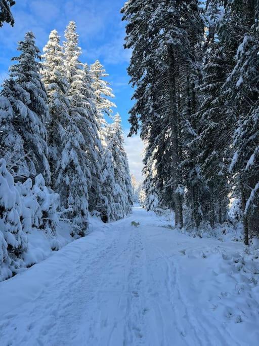 Chalet 3 Etoiles A Gerardmer. ภายนอก รูปภาพ