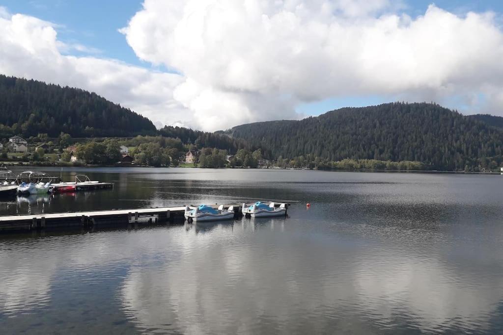 Chalet 3 Etoiles A Gerardmer. ภายนอก รูปภาพ